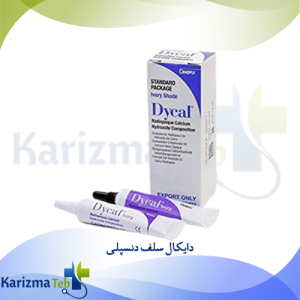 دایکال سلف دنسپلی