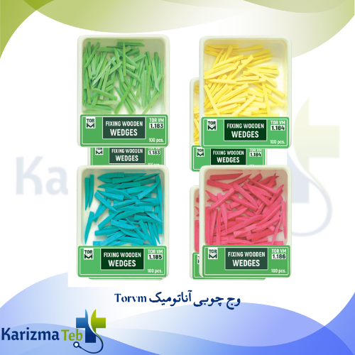 وج چوبی آناتومیک Torvm