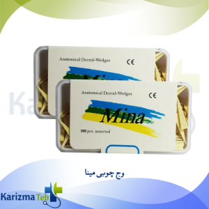 وج چوبی مینا